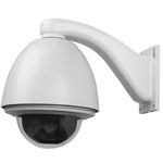 Pan/Tilt/Zoom Cameras (PTZ)